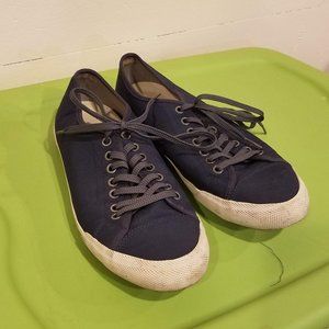 SeeVees sneakers